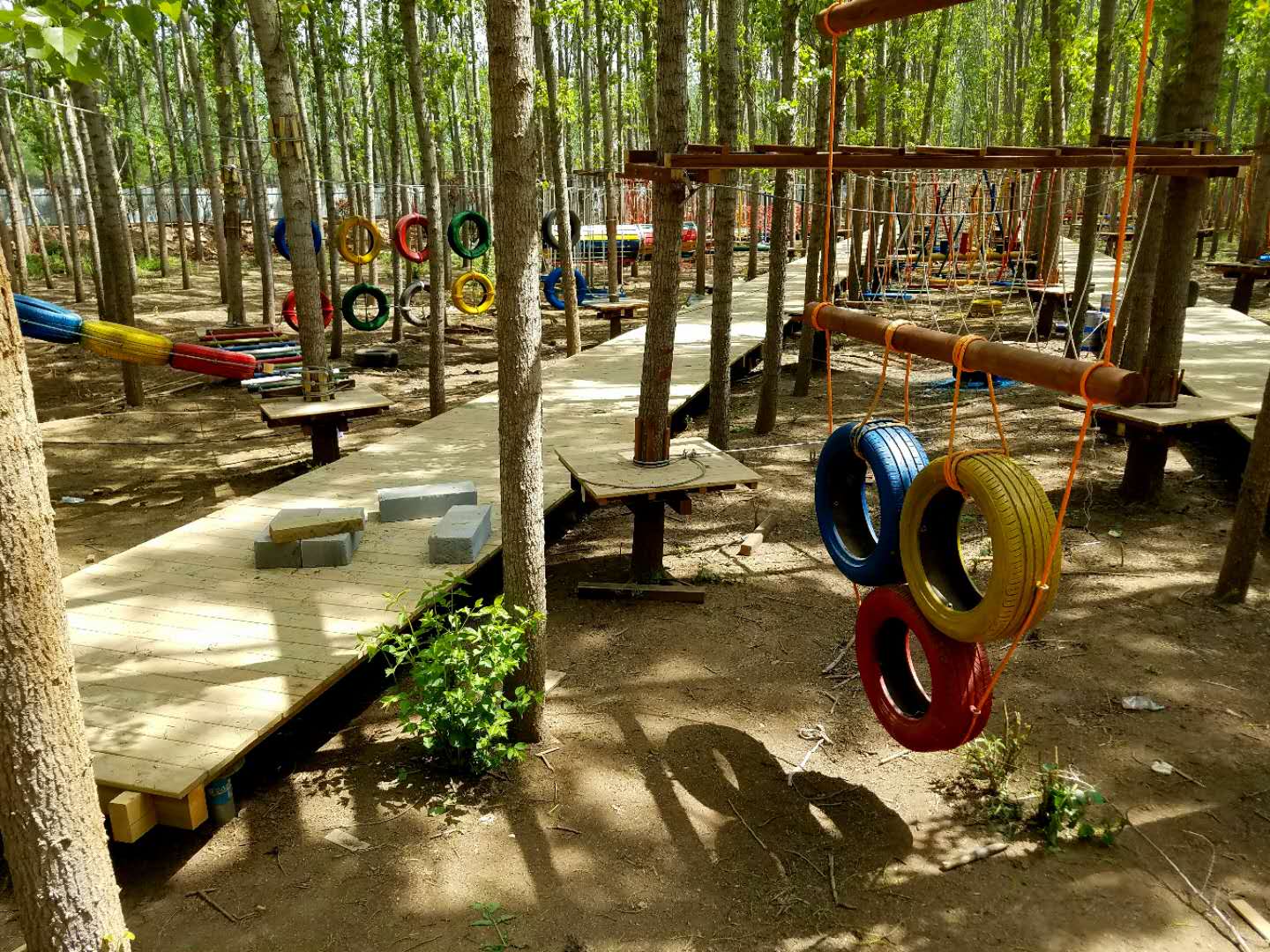 月牙海欢乐世界浪漫花海20日开园只为郁见你