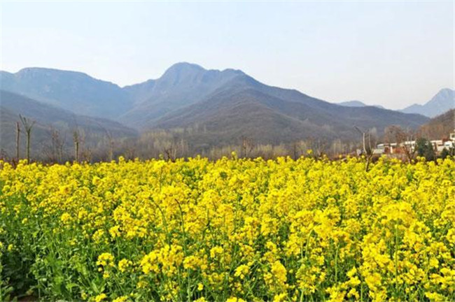 第二届熊山踏青季开幕式圆满举行