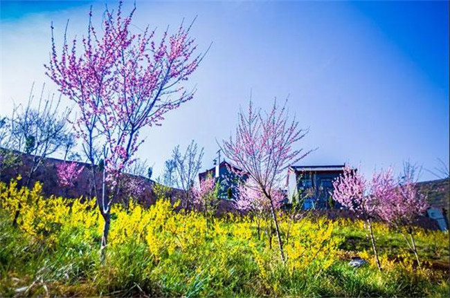 第二届熊山踏青季开幕式圆满举行