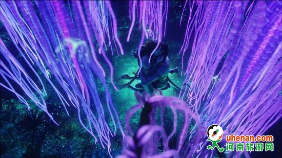 洛阳牡丹花会将新添一道魔幻奇景-旅游资讯-河