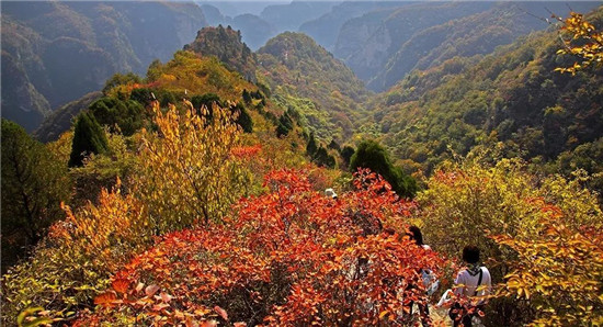 金夫人婚纱摄影基地_中国婚纱摄影基地(3)